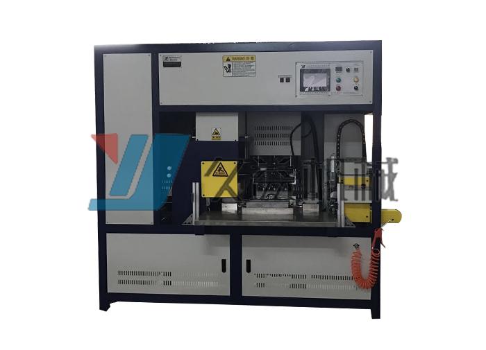 Carcass Vulcanization